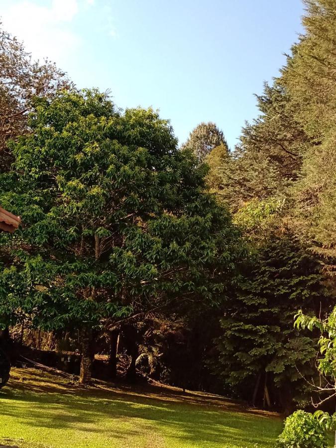Chale Aroma Da Serra 蒙特韦尔迪 外观 照片